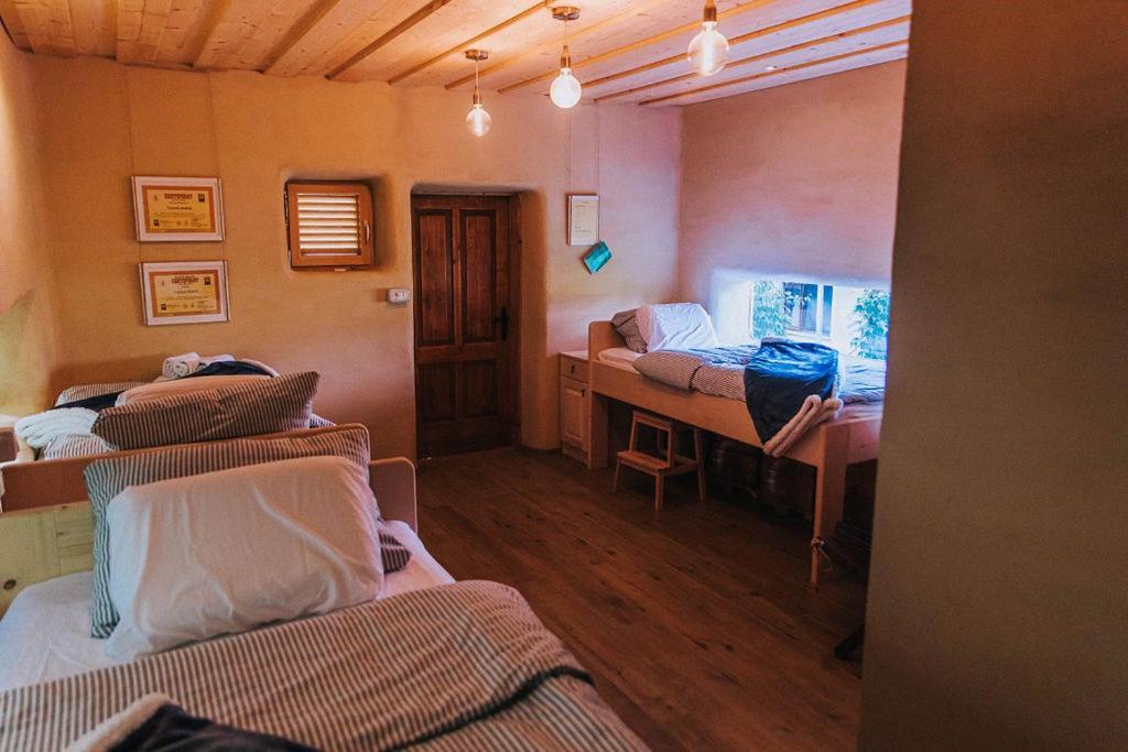Apartmán Sleeping With Bees - Tourist Farm Muha Grosuplje Exteriér fotografie