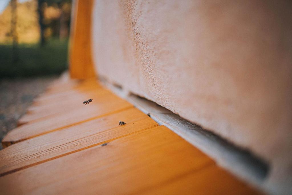 Apartmán Sleeping With Bees - Tourist Farm Muha Grosuplje Exteriér fotografie